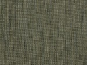 Yucca 12001 02